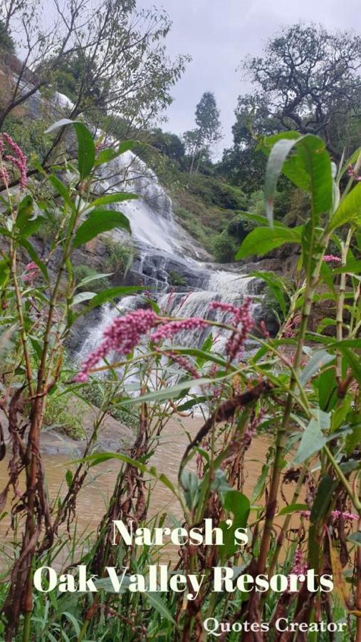 Oak Valley Resorts Kotagiri Eksteriør bilde